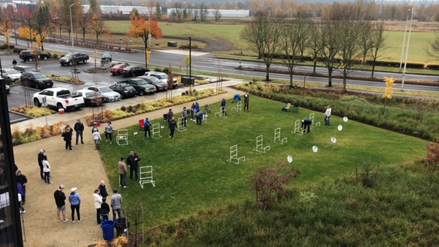 Fall tourney at Cook Solutions Group HQ in Portland